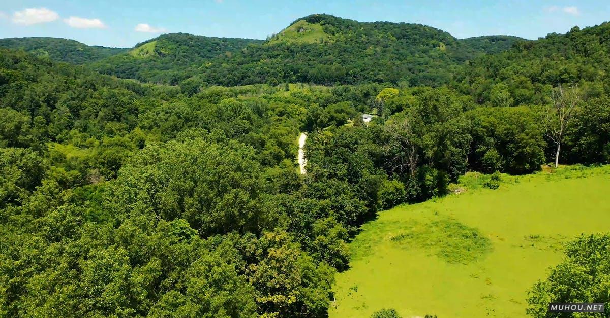 2775508|夏天无人机航拍绿色森林4KCC0视频素材插图 2775508|夏天无人机航拍绿色森林4KCC0视频素材插图