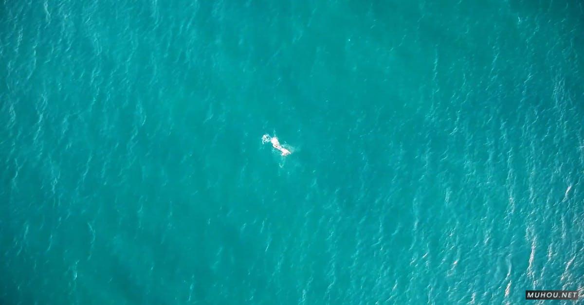 2419461|海, 海洋上的游泳者航拍CC0视频素材插图 2419461|海, 海洋上的游泳者航拍CC0视频素材插图