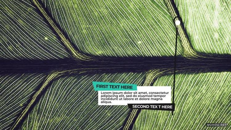 AE模板|线条动画标注标题包装视频模板#Creative Callout Titles插图 AE模板|线条动画标注标题包装视频模板#Creative Callout Titles插图