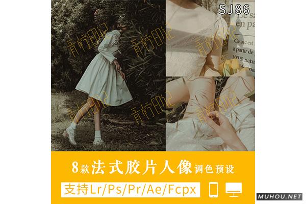 Luts调色预设:8组法式怀旧胶片效果人像视频调色滤镜下载(LR-PR-AE-PS-FCPX-达芬奇) Luts调色预设:8组法式怀旧胶片效果人像视频调色滤镜下载(LR-PR-AE-PS-FCPX-达芬奇)