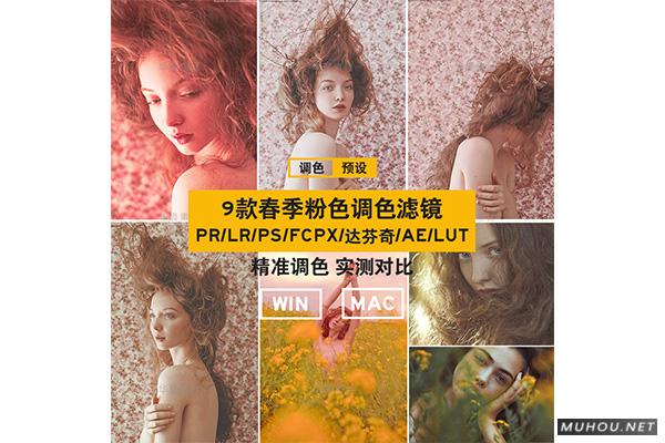 Luts调色预设:春季粉色私房人像视频调色滤镜(LR-PR-AE-PS-FCPX-达芬奇) Luts调色预设:春季粉色私房人像视频调色滤镜(LR-PR-AE-PS-FCPX-达芬奇)