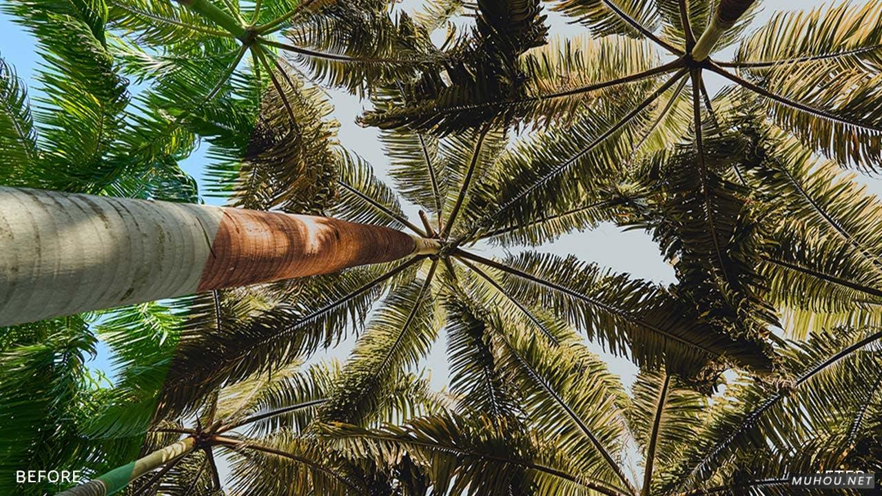 LR预设-20套加利福尼亚-生活方式照片Lightroom调色预设下载California - Lifestyle Photo Lightroom Presets插图7 LR预设-20套加利福尼亚-生活方式照片Lightroom调色预设下载California - Lifestyle Photo Lightroom Presets插图7