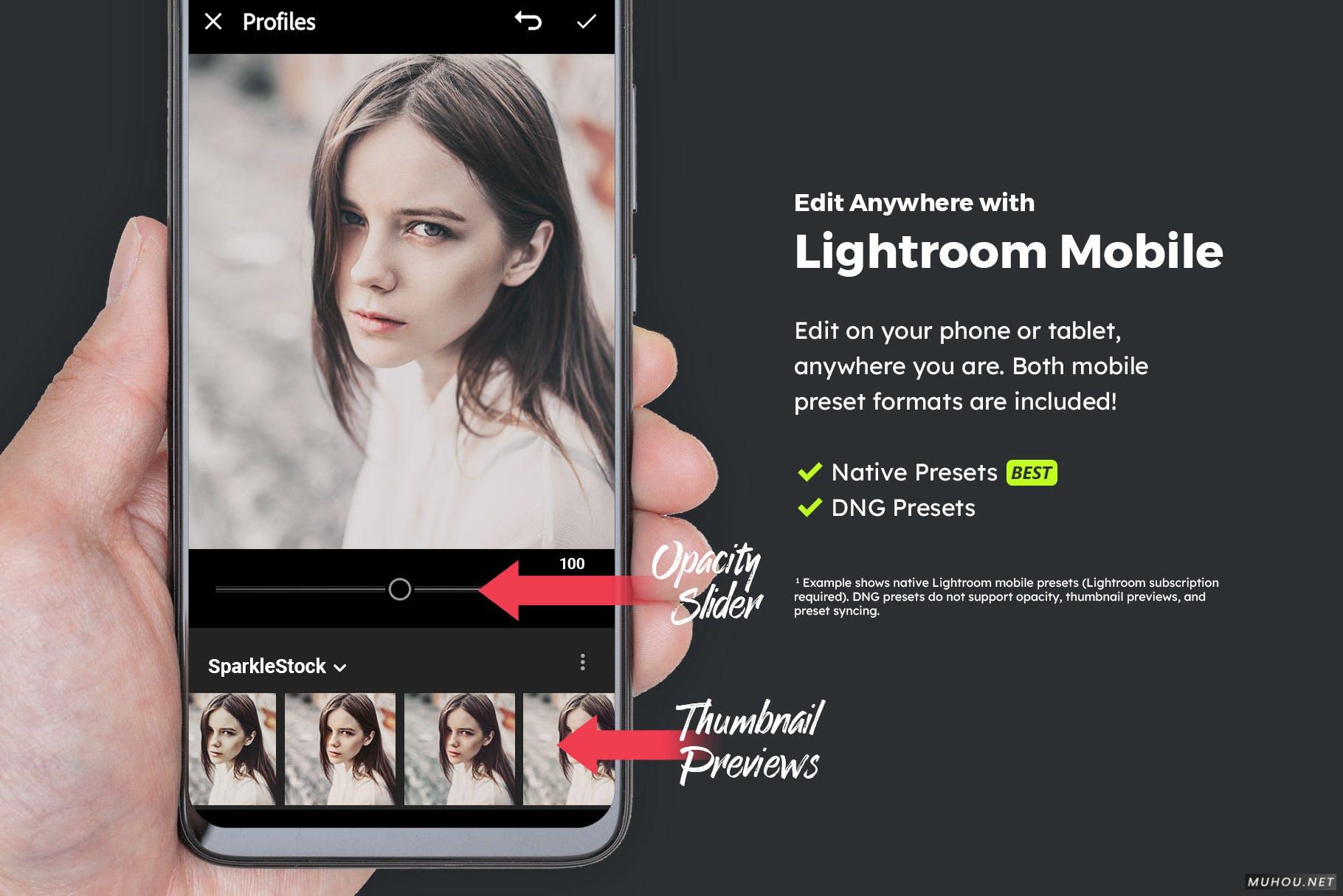 Luts调色预设-20套褪色照片时尚照片调色滤镜20 Classic Lightroom Presets and LUTs插图12 Luts调色预设-20套褪色照片时尚照片调色滤镜20 Classic Lightroom Presets and LUTs插图12