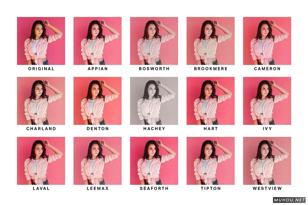 Luts调色预设-14组粉红色少女色系色调滤镜 14 Pink Lightroom Presets and LUTs插图8 Luts调色预设-14组粉红色少女色系色调滤镜 14 Pink Lightroom Presets and LUTs插图8
