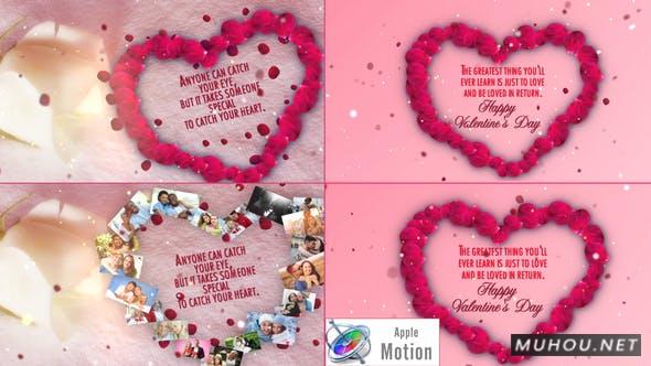 粉色主题浪漫玫瑰花瓣情人节祝福FCPX/Motion视频模板插图 粉色主题浪漫玫瑰花瓣情人节祝福FCPX/Motion视频模板插图