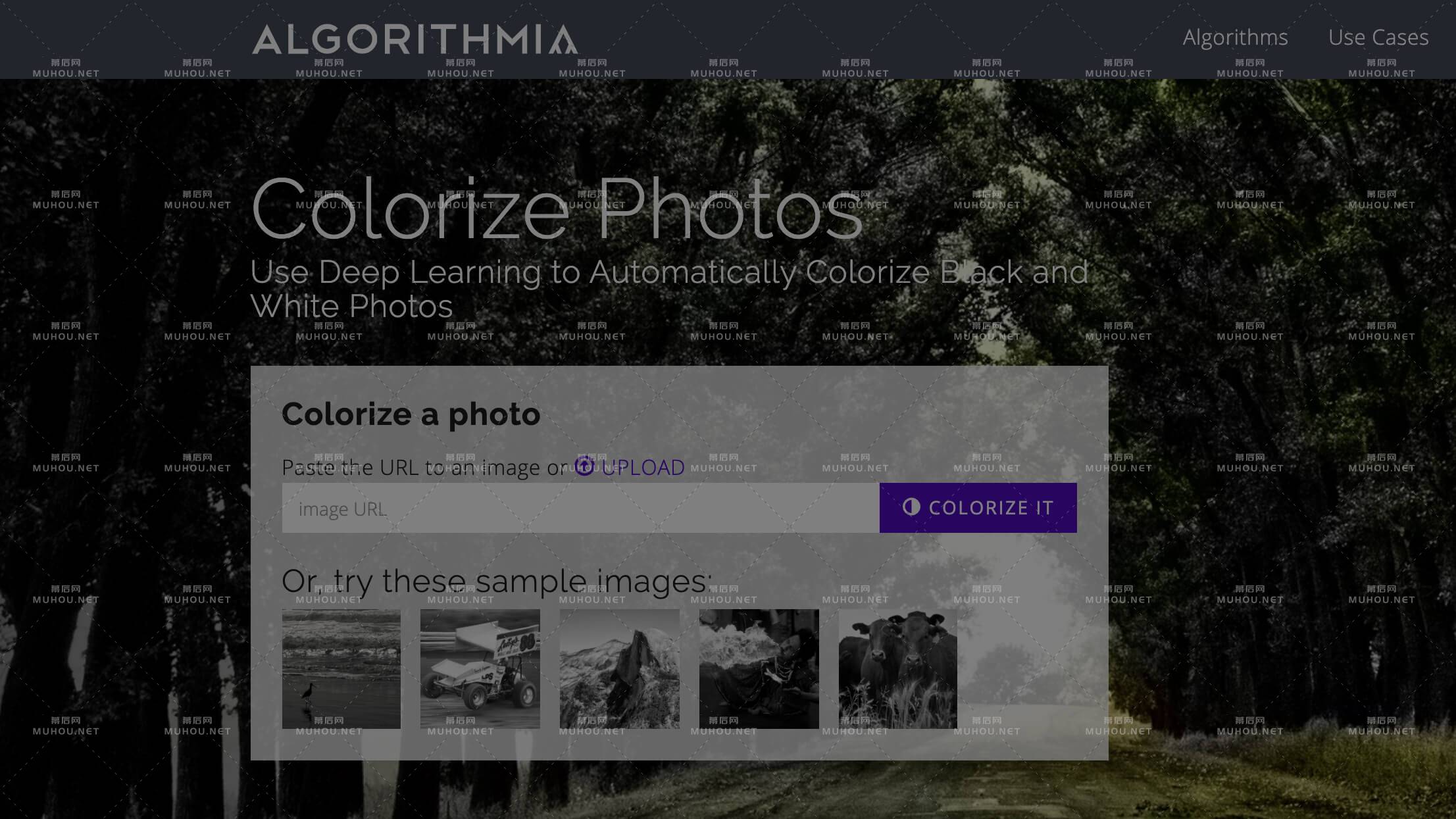 推荐几个为黑白照片快速上色的工具插图2 推荐几个为黑白照片快速上色的工具插图2