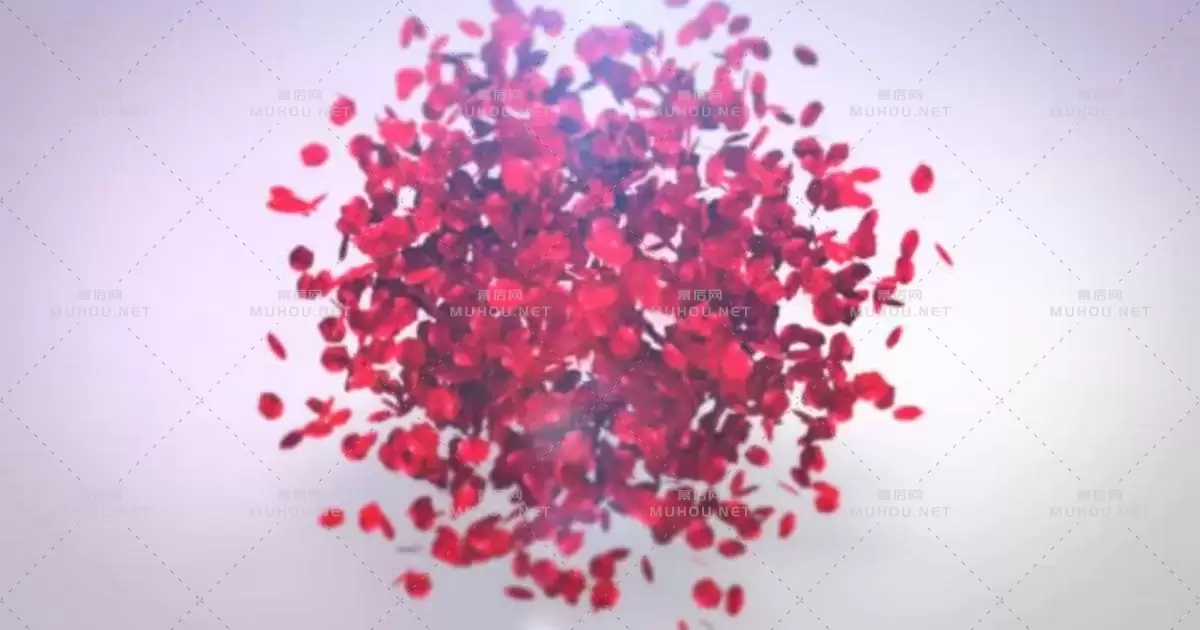 播放玫瑰花瓣logo标志揭示视频AE模板