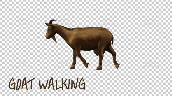 山羊行走动画Goat Walking视频素材带Alpha通道插图 山羊行走动画Goat Walking视频素材带Alpha通道插图