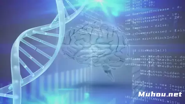 具有DNA螺旋和计算机代码的大脑高清视频素材插图 具有DNA螺旋和计算机代码的大脑高清视频素材插图
