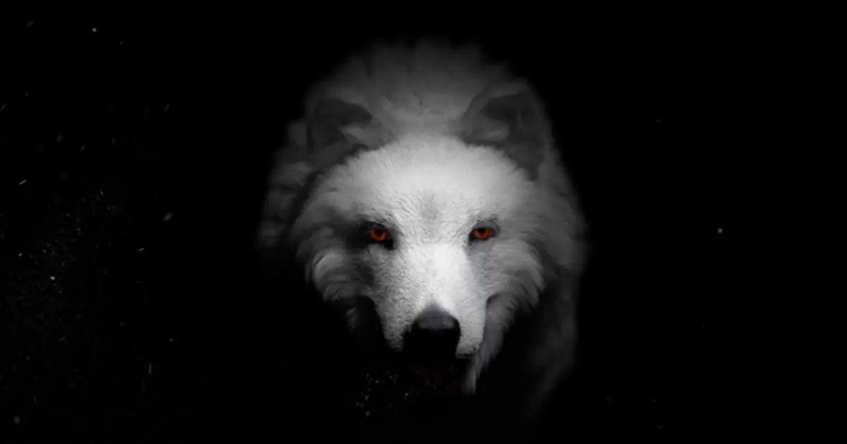 狼与龙恐怖动物片头logo标志AE视频模版Wolf & Dragon