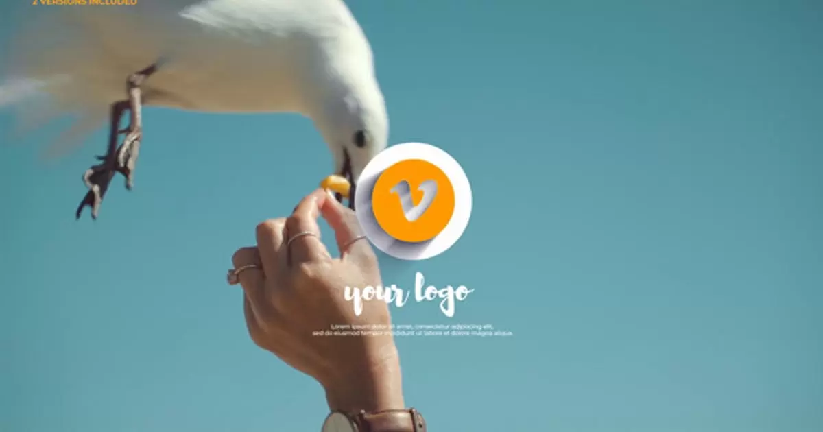 3d优雅logo标志揭示AE视频模版3d Elegant Logo Reveal