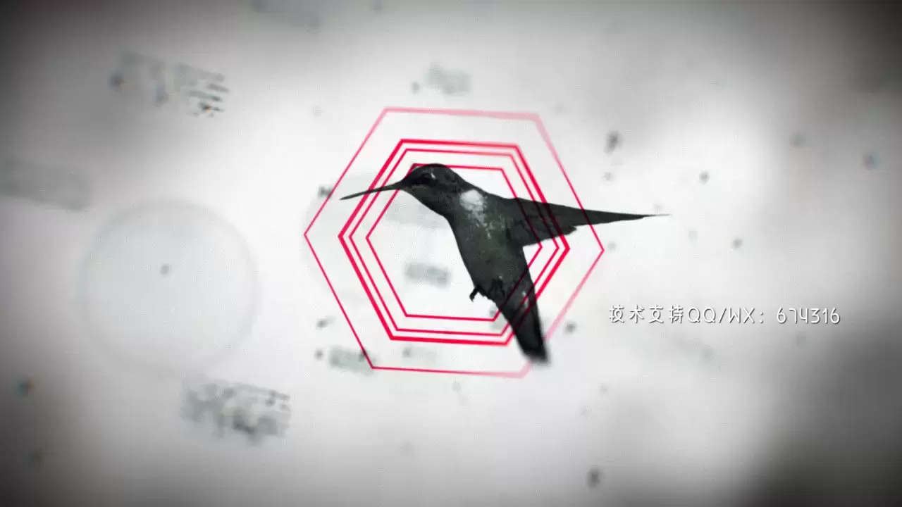 logo神秘水墨动态符文特效logo展示AE模板视频下载