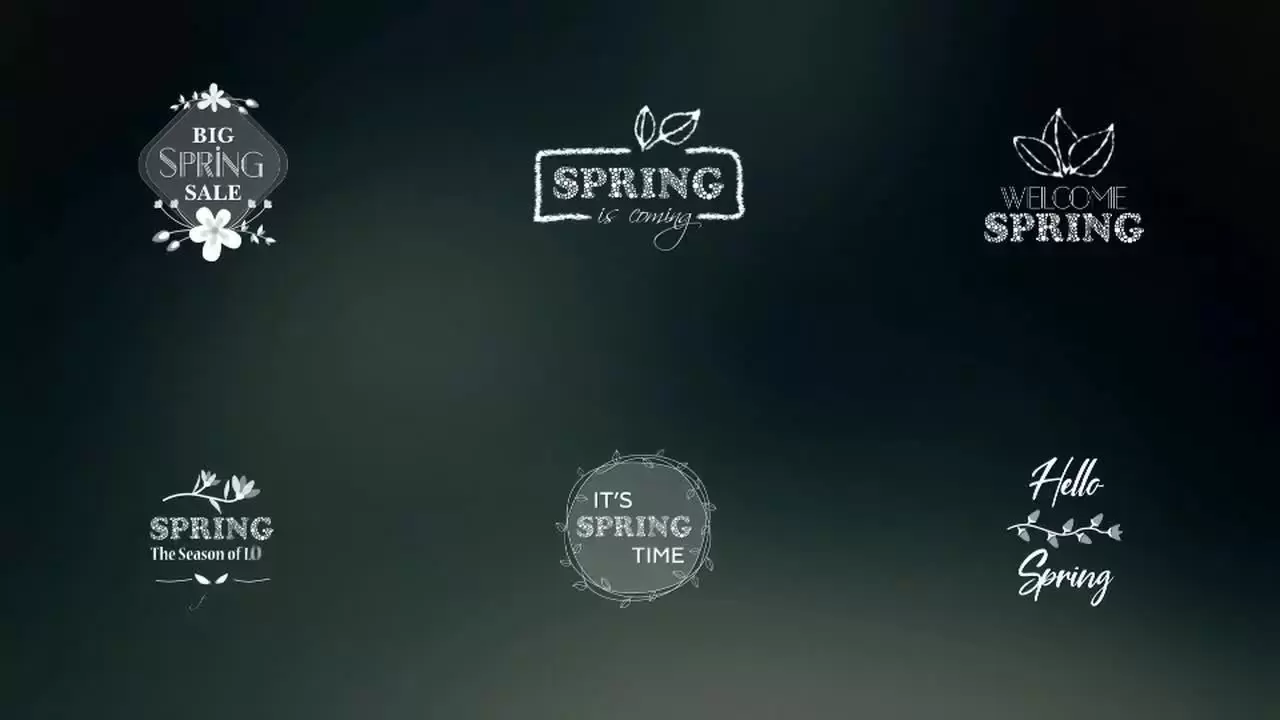 扁平弹簧LOGO标志显示包AE模板视频下载(含音频)