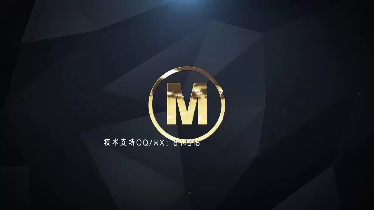 专业的金银色logo展示动画AE模板视频下载(含音频)