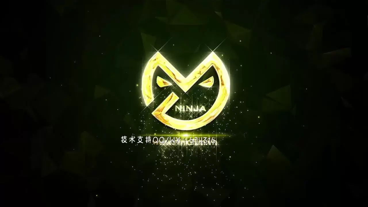金银颗粒LOGO标志展示AE模板视频下载