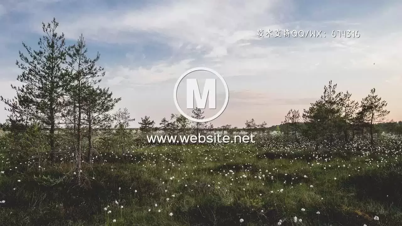 动态搜索栏LOGO标志AE模板视频下载(含音频)