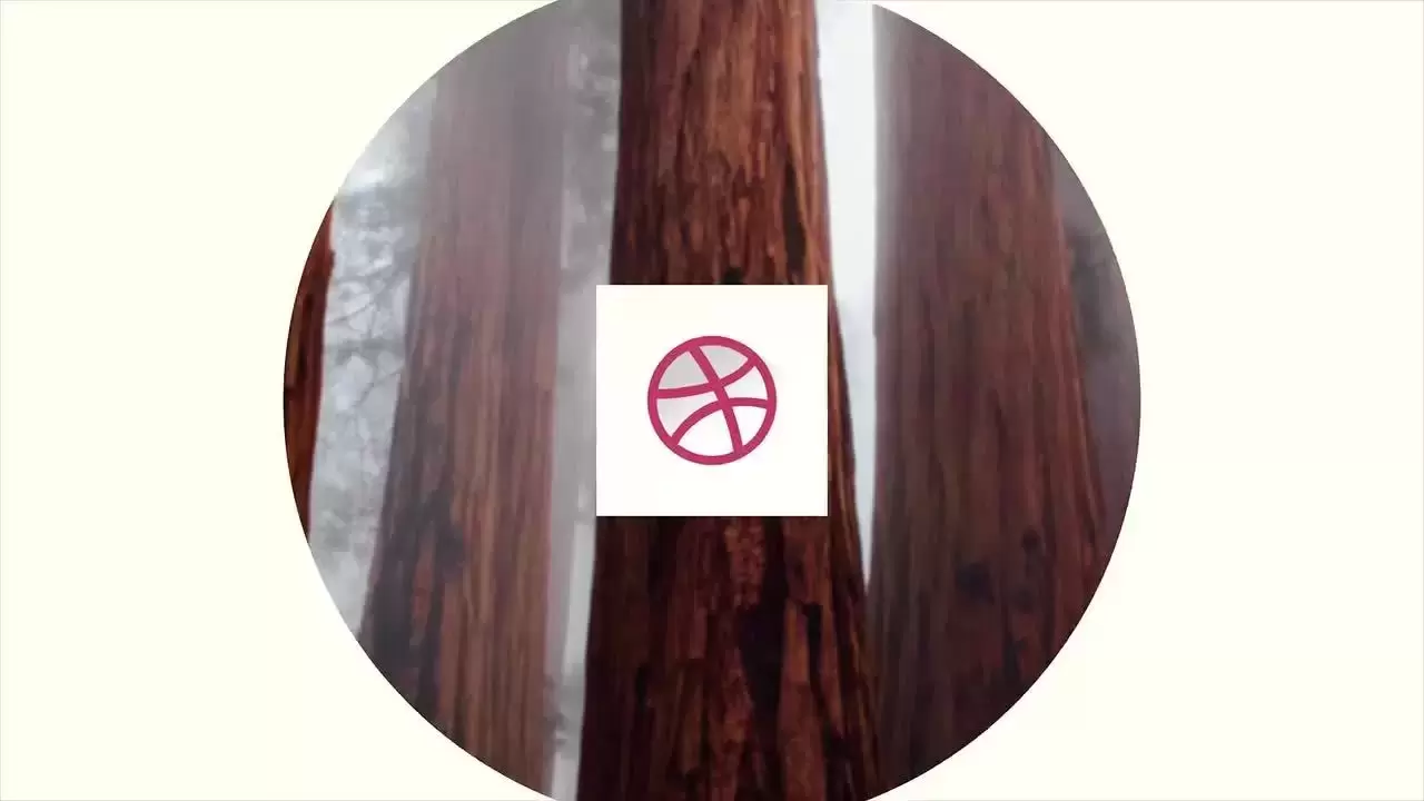 5个动态LOGO标志显示AE工程-附音频