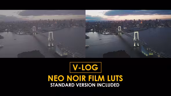 V-log Neo Noir胶片和标准彩色lutFCPX模板V-Log Neo Noir Film and Standard Color LUTs插图 V-log Neo Noir胶片和标准彩色lutFCPX模板V-Log Neo Noir Film and Standard Color LUTs