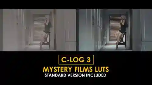 专业C-Log3色彩分级lut,适用于电影视频达芬奇模板