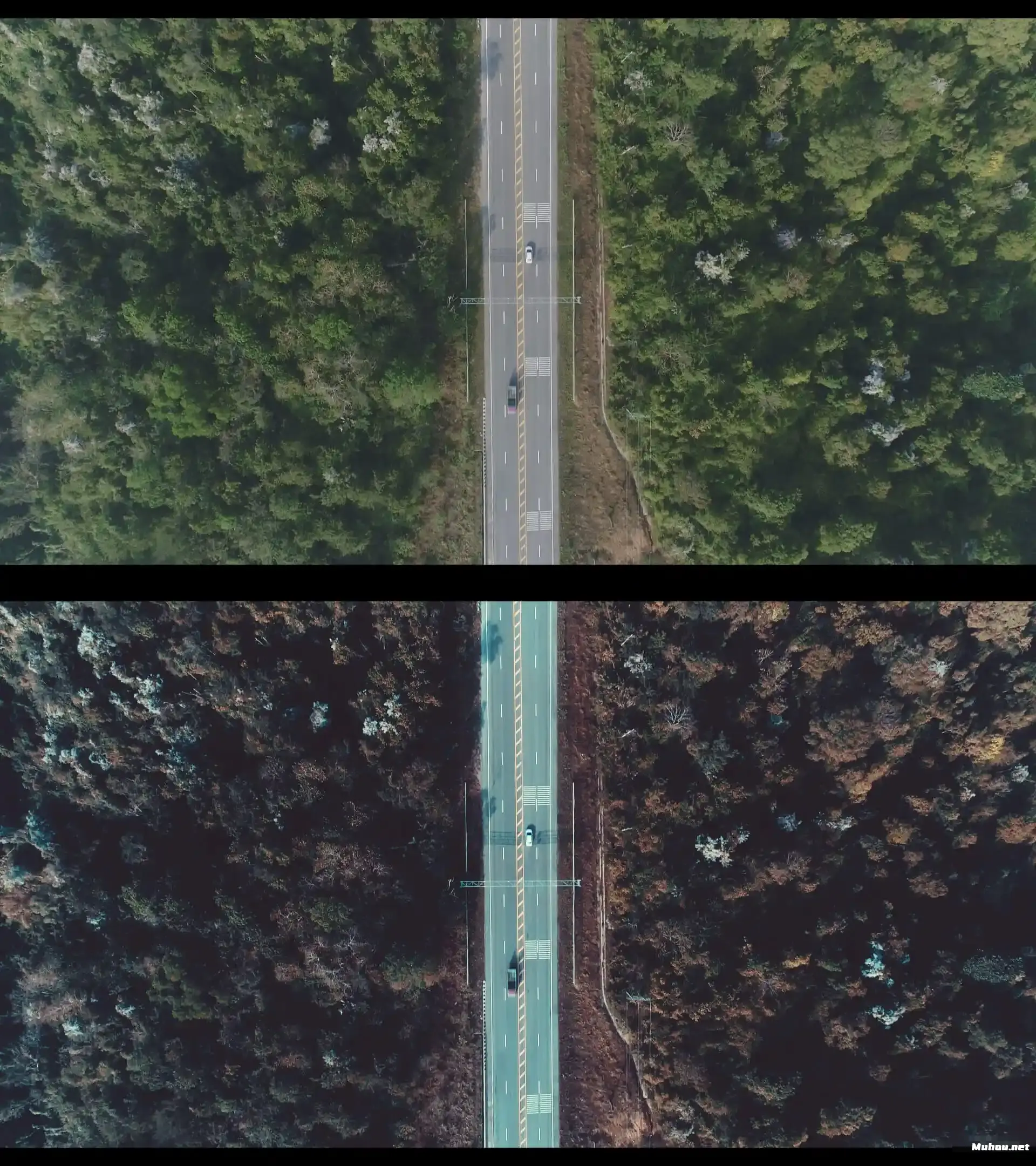 20260520-9YtFJc