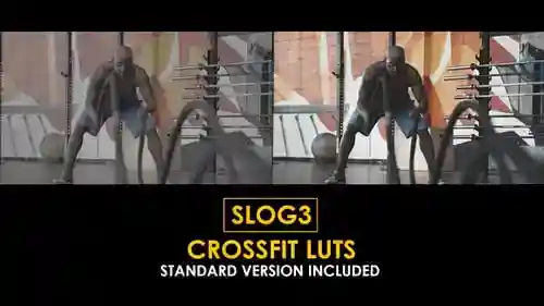 Slog3 CrossFit健身房达芬奇模板