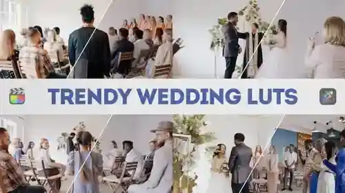 婚礼电影色彩分级lut达芬奇模板