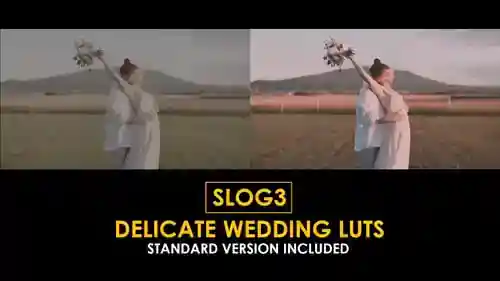 为slog3达芬奇模板户外婚庆婚礼电影质感调色lut