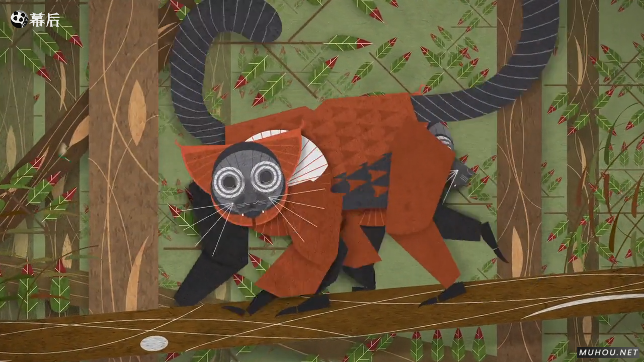 西雅图 Woodland Park Zoo 林地动物园系列动画创作SLOTH BEAR CUBS
