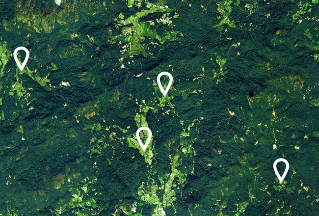 卫星地图风格创意咖啡豆包装设计