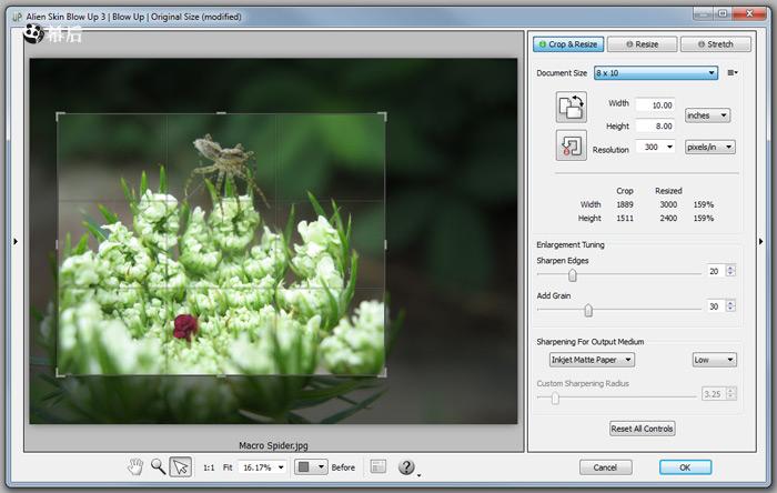 照片放大软件+PS插件Exposure Software Blow Up 3.1.3.274 x64破解版免费下载插图1