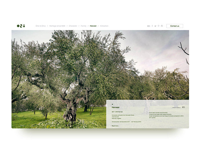 [包装设计]One & Olive橄榄油包装(共17张图)