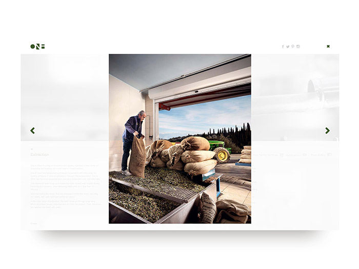 [包装设计]One & Olive橄榄油包装(共17张图)