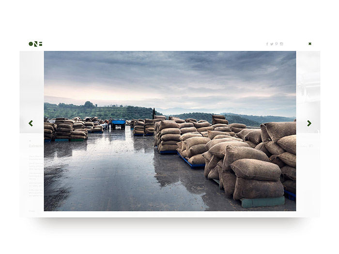 [包装设计]One & Olive橄榄油包装(共17张图)