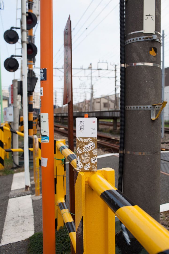 雨林古茶坊产品策划和包装设计