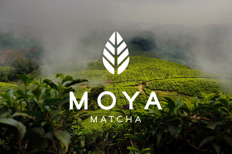[包装设计]MOYA Matcha茶包装设计(共18张图)