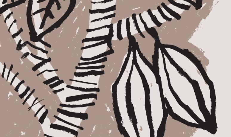 [包装设计]éSOPHY巧克力包装(共21张图)