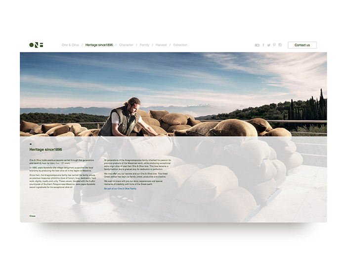 [包装设计]One & Olive橄榄油包装(共17张图)