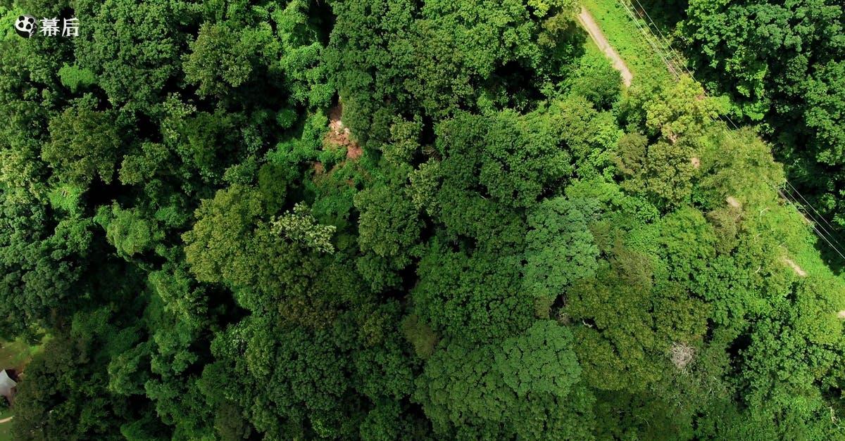 2453856|无人机航拍夏天查塔努加的森林4KCC0视频素材插图