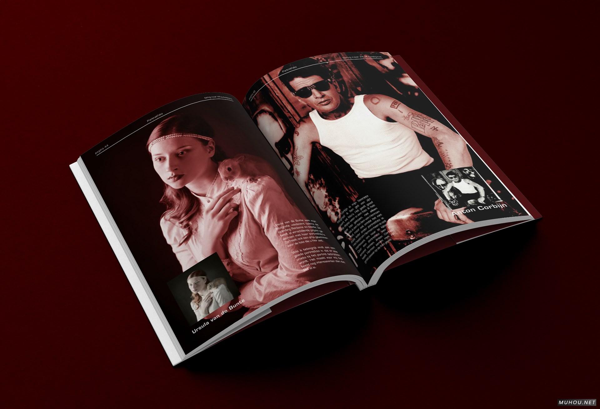 CREATIE图形设计组合书籍设计 [17P]