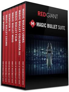 【必装】AE/PR红巨星调色师套装 Red Giant Magic Bullet Suite 13.0.14 x64破解版免费下载 支持2020插图