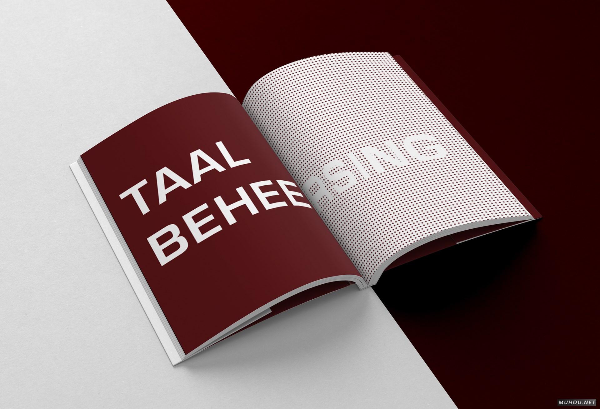 CREATIE图形设计组合书籍设计 [17P]