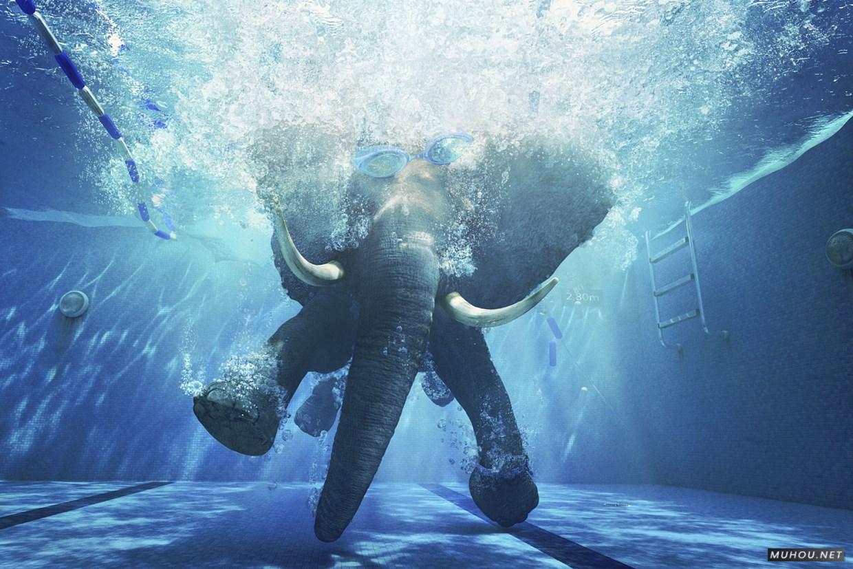 [180P]激脑-六月创意合成案例欣赏搜集 6/7