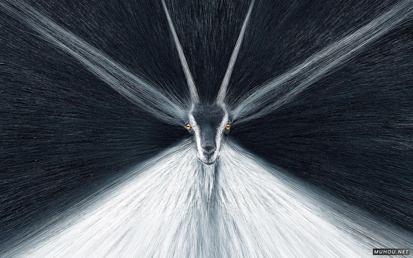 Opel-欧宝紧急刹车协助系统创意广告设计 [6P]