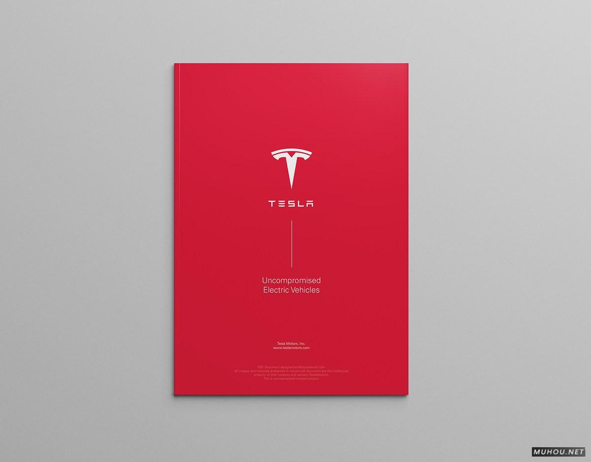 TESLA特斯拉汽车模型概念信息画册设计-Serge Mistyukevych [21P]