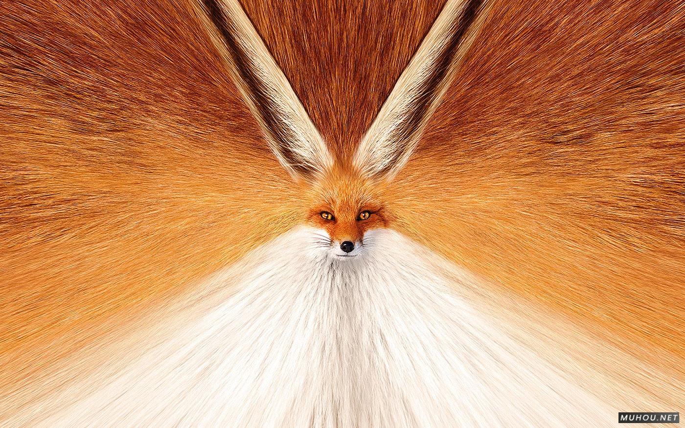 Opel-欧宝紧急刹车协助系统创意广告设计 [6P]