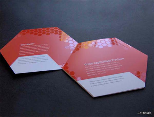 横扫天下国外画册书籍封面设计DOOOOR-OCT[382P]14/20