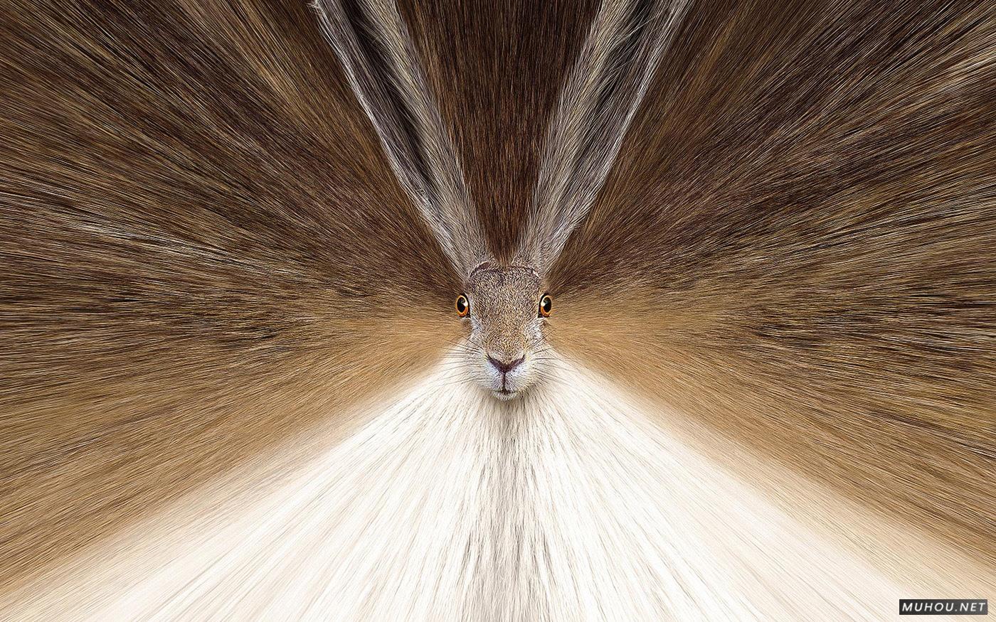 Opel-欧宝紧急刹车协助系统创意广告设计 [6P]