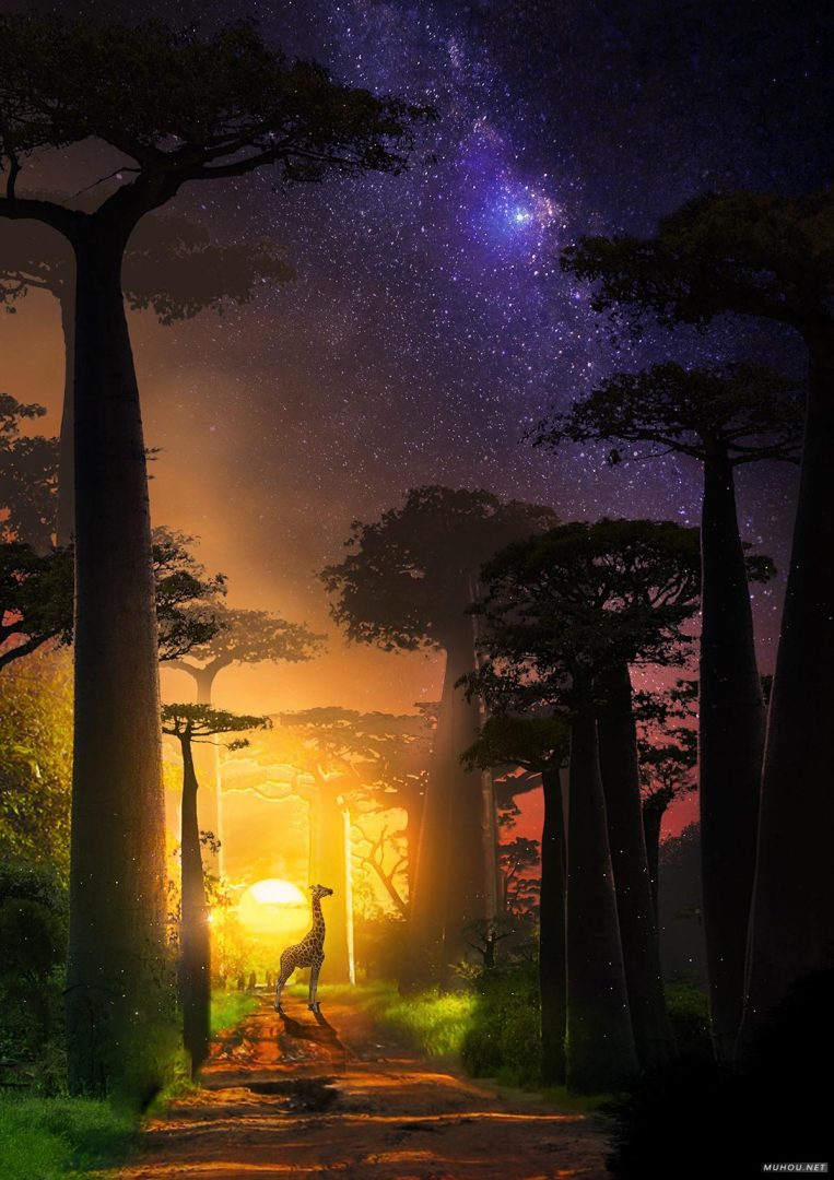 克罗地亚Martina Stipan梦幻插画风格风景合成作品 [39P] 3/3