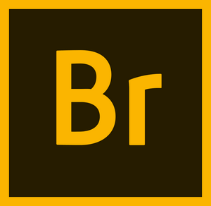 BR2020照片管理软件Adobe Bridge 2020 v10.0.1 SP_WIN64_简体中文破解版免费下载插图