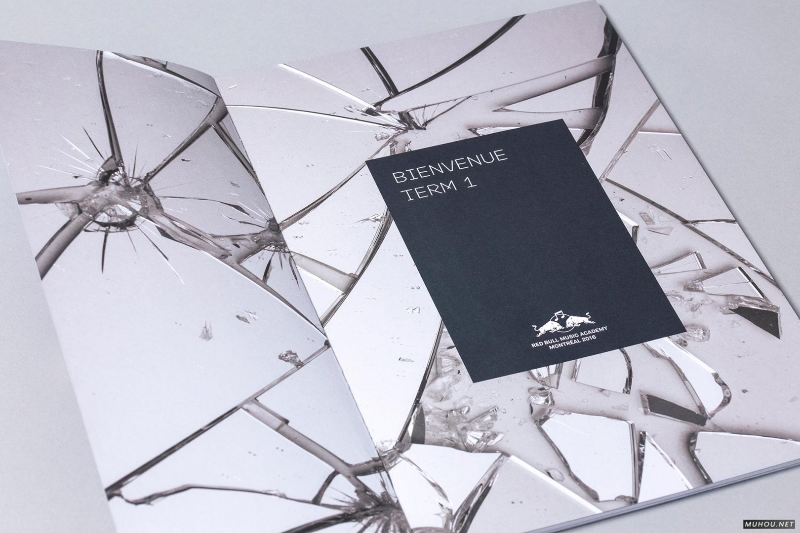 [105P]八月优秀国外书籍画册设计排版作品搜集-DOOOOR.com 4/4